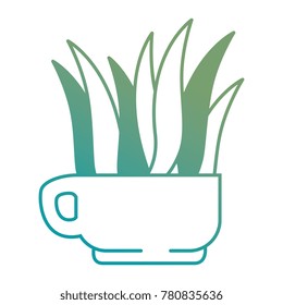 house plant in pot