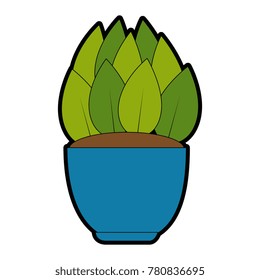 house plant in pot