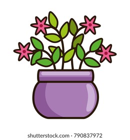 house plant in pot