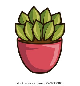 house plant in pot