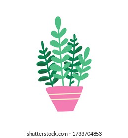 House plant in pot. Beautiful hand drawn isolated vector illustration with Zamioculcas. Home decor and gardening. Floristic concept. Indoor botany. Modern design element.