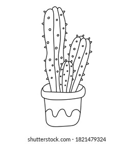 House plant in a pot. Cactus in doodle style. Hand drawn vector  illustration of succulent in black ink on white background. Isolated outline.