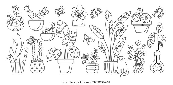 Planta de la casa en la olla, conjunto decorativo de doodles. Las plantas de las casas lineales exóticas florean para el interior. Plantas botánicas de floración interior, flor, cactus, monstera, cerámica de maceta de aloe. Vector plano aislado