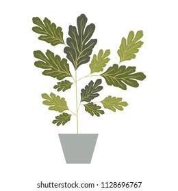 house plant in pot decorative icon