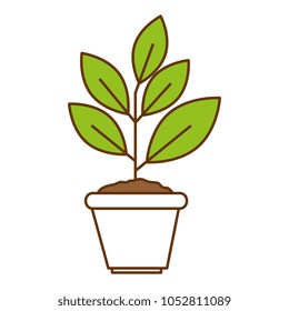 house plant in pot ecology icon