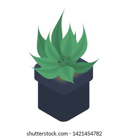 House plant pot icon. Isometric of house plant pot vector icon for web design isolated on white background
