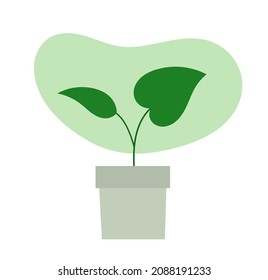 House plant in the pot icon. Vector illustration.