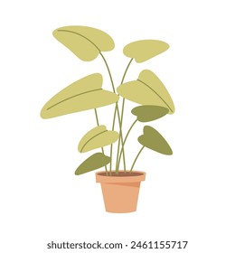 House plant in pot isolated vector illustration. Indoor flowerpot in home. Flower in ceramic container. Room interior decor. Green office concept.