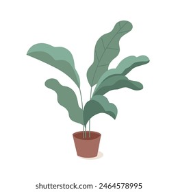 House plant in pot isolated vector illustration. Indoor flowerpot in home. Flower in ceramic container. Room interior decor. Green office concept.