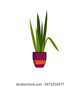 House plant in pot isolated vector illustration. Indoor flowerpot in home. Flower in ceramic container. Room interior decor. Green office concept.