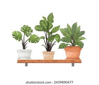 House plant in a pot on shelf,  home decor.