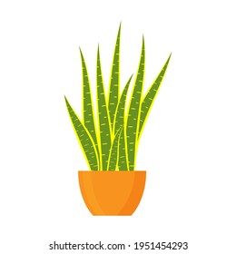 House plant pot on white background. Vector illustration