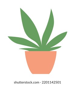House plant in pot. Sticker with beautiful green flower with long leaves. Organic or natural home decor. Gardening and growing plants. Cartoon flat vector illustration isolated on white background