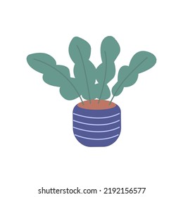 House plant in pot vase. Scandinavian cozy home decor. Flat vector cartoon illustration isolated on white