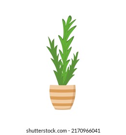 House plant in pot. Vector Illustration for printing, backgrounds, covers, packaging, greeting cards, posters, stickers, textile and seasonal design. Isolated on white background.