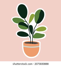 House plant in the pots. Trendy home decor with plants. Vector illustration. Sticker.