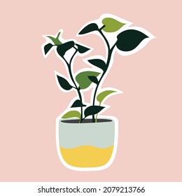 House plant in the pots. Trendy home decor with plants. Vector illustration. Sticker.