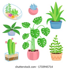 House plant potted ceramic set, flat cartoon style. Succulents and house plants, cactus collection. Monstera and aloe. Growing green sprouts rising from pot. Isolated vector illustration