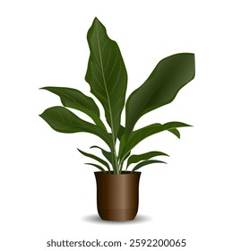 House Plant potted plant isolated on white. Decorative natural elements for home decor. Vector illustration Not AI generated