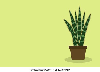 house plant sansevieria potted. Flat design. Vector illustration
