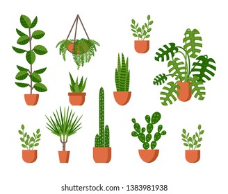 House plant set in pot: ficus, cactus bunny ears, indoor fern, aloe, snake plant, sansevieria, silver dollar plant, carnegia, dracaena, monstera. Vector flat style