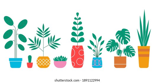 House plant set in pots. Indoor houseplants in flowerpots for interior design. Vector illustration.