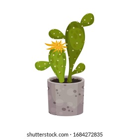 House Plant with Sharp Spikes Growing in Pot Vector Illustration
