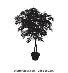 house plant silhouette. Indoor potted plant vector outline black and white doodle illustration.