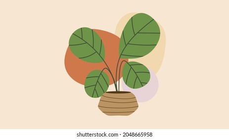 house plant trees minimalist  ,  Flat Modern design, illustration Vector EPS 10 