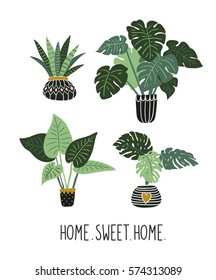 House plants with big leaves. Tropical garden set. Vector isolated objects on the white background. Scandinavian stylish illustration.