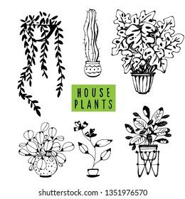 House plants black hand drawn set. Potted flowers. Isolated on white background. Handwriting font