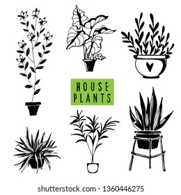 House plants black hand drawn set. Potted flowers. Isolated on white background. Handwriting font