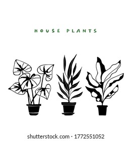 House plants black hand drawn. Potted flowers. Isolated on white background. Handwriting font