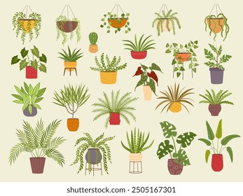 House plants. Botanical flowers collection different home plants in pots recent vector colored templates set