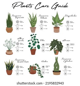 House plants care guide. Vector stylish illustration of house plants in pots with guides of watering, light and fertilise. Sansevieria, dieffenbachia, alocasia, pilea, albuca, hedera. svg