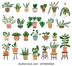 House Plants Clipart. Vector illustration.