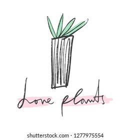 House plants in color