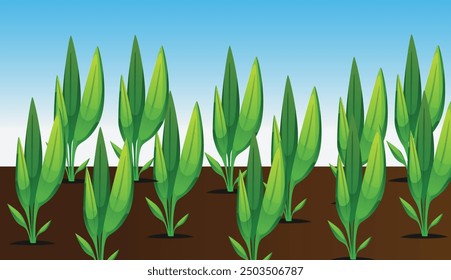 house plants in colorful hand made. Decorative natural elements for home decor. Vector illustrations isolated on white background.