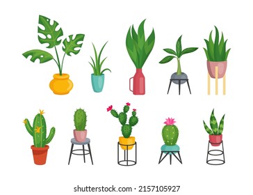 House plants. Colorful pots. Hygge home jungle with succulents leaves, trendy scandinavian indoor houseplant. Monstera ficus and cactus with flowers on stands, vector modern illustration set