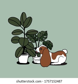 House plants and cute dog. Hand drawn illustration.