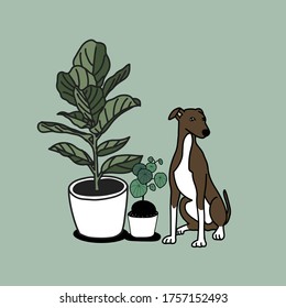 House plants and cute dog. Hand drawn illustration.