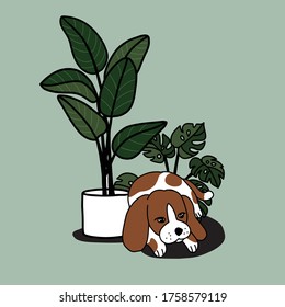 House plants and cute dog. Hand drawn illustration.
