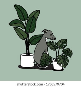 House plants and cute dog. Hand drawn illustration.