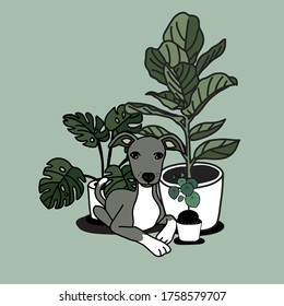 House plants and cute dog. Hand drawn illustration.