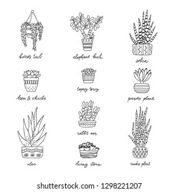 House Plants in decorative pots with a handwritten title. Hand drawn Succulent isolated on white background. Doodle style set. Vector illustration. Design elements for stamp, poster, stickers