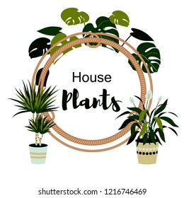 House plants design with rope frame. Vector illustration. Floral label. 
