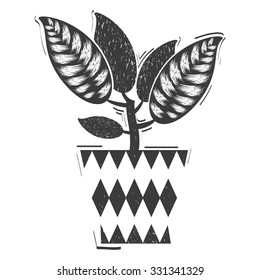 House plants: Dieffenbachia. Vector. Lino cut. Black and white