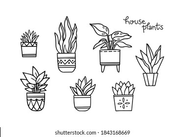 House plants doodle elements set isolated on white background. Hand-drawn outline plants in pots with lettering phrase. Botanical design for card, poster, logo or social media.