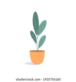 House plants and flower pots. Flowerpot in flat style. Vector illustration green plant in pot