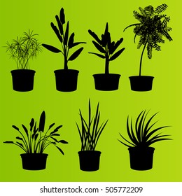 House plants in flower pots set isolated vector background